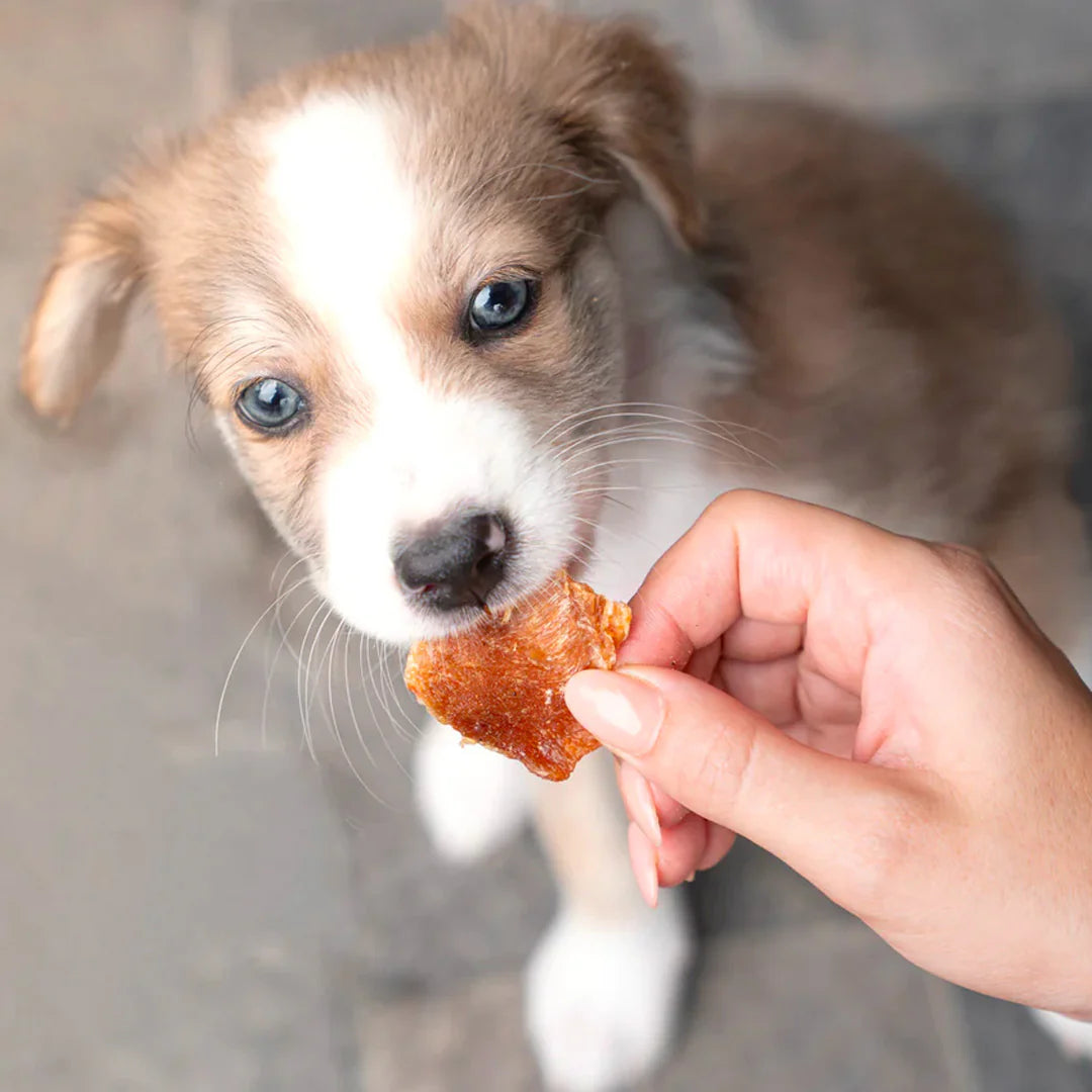 Bites Pollo