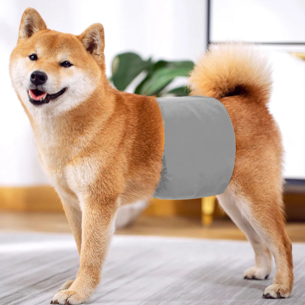 Washable Pet Dog Diapers Males Absorbent Adjustable Puppy Big Dog Physiological Pants for Dogs Reusable Pets Dogs Panties Shorts