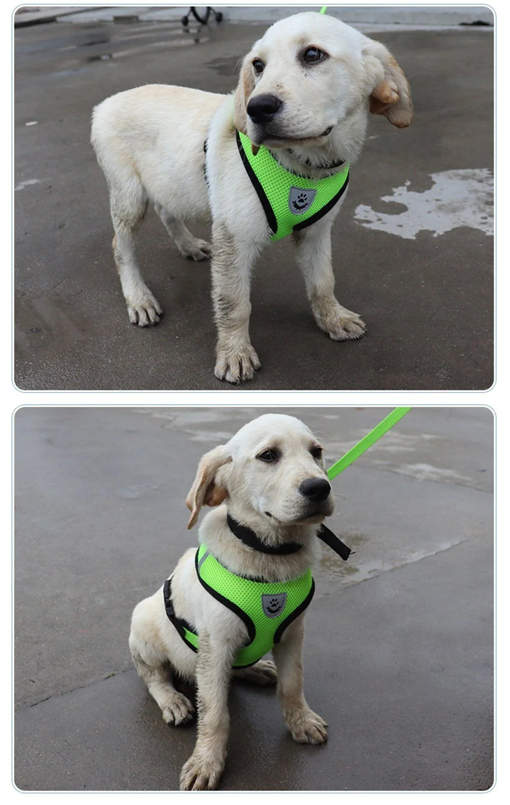  Pet Harness Adjustable Control 