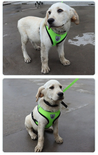  Pet Harness Adjustable Control 