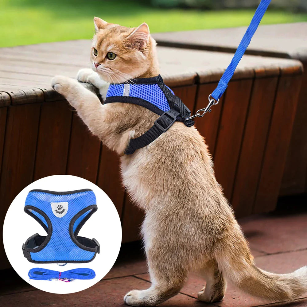  Pet Harness Adjustable Control 