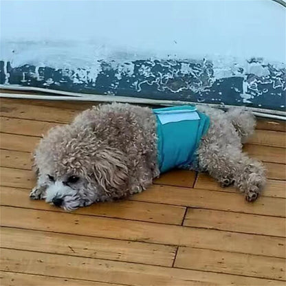 Washable Pet Dog Diapers Males Absorbent Adjustable Puppy Big Dog Physiological Pants for Dogs Reusable Pets Dogs Panties Shorts