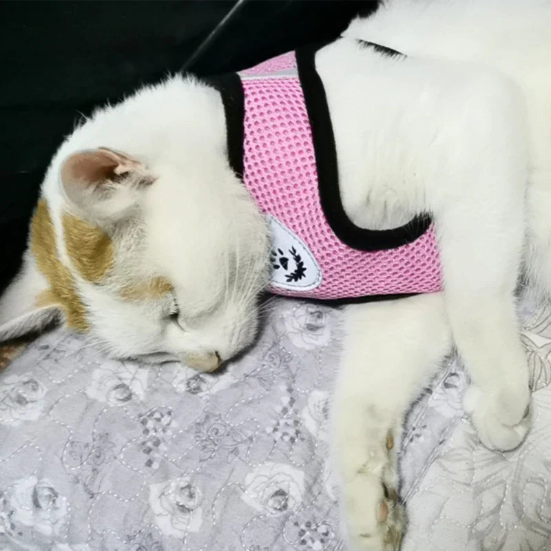  Pet Harness Adjustable Control 