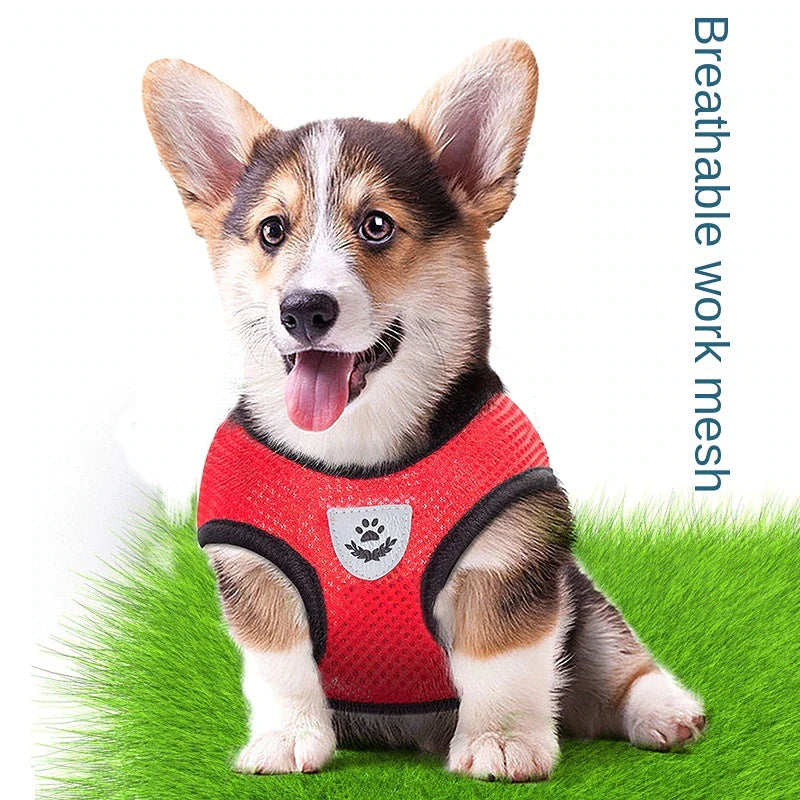  Pet Harness Adjustable Control 