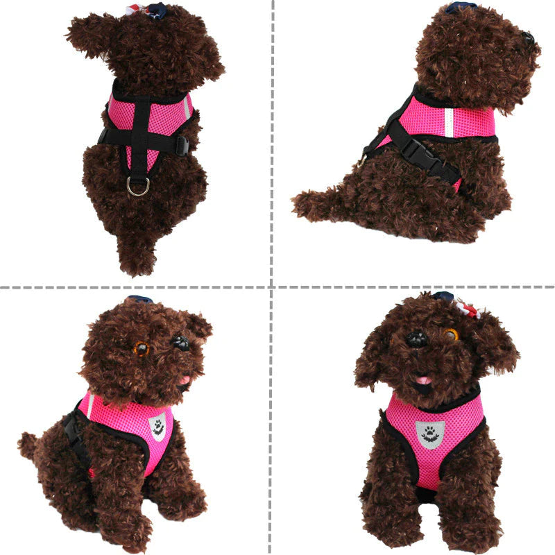  Pet Harness Adjustable Control 