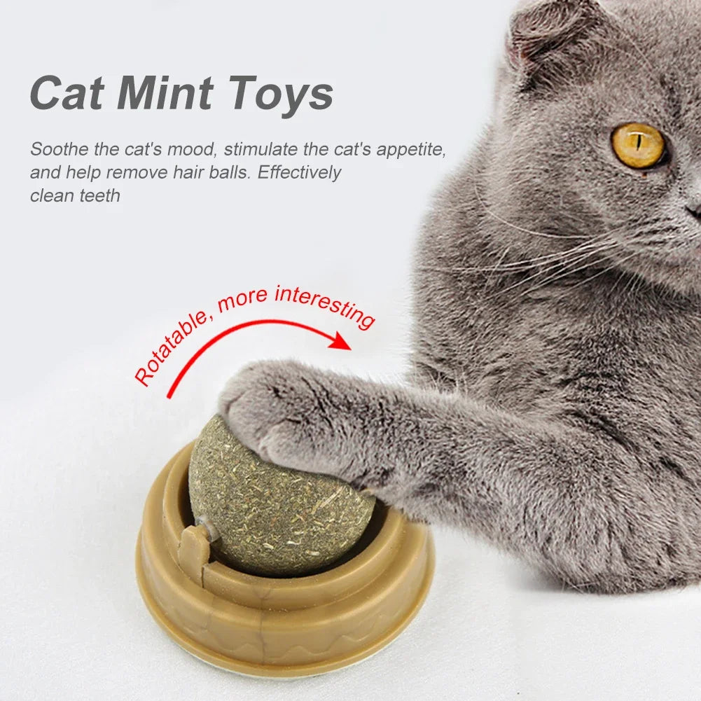 Cat Wall Stick-On Ball Toy Molar Teeth Catnip Snack Ball Removes Hair Balls Promote Digestion with Dust Cover Pet Products