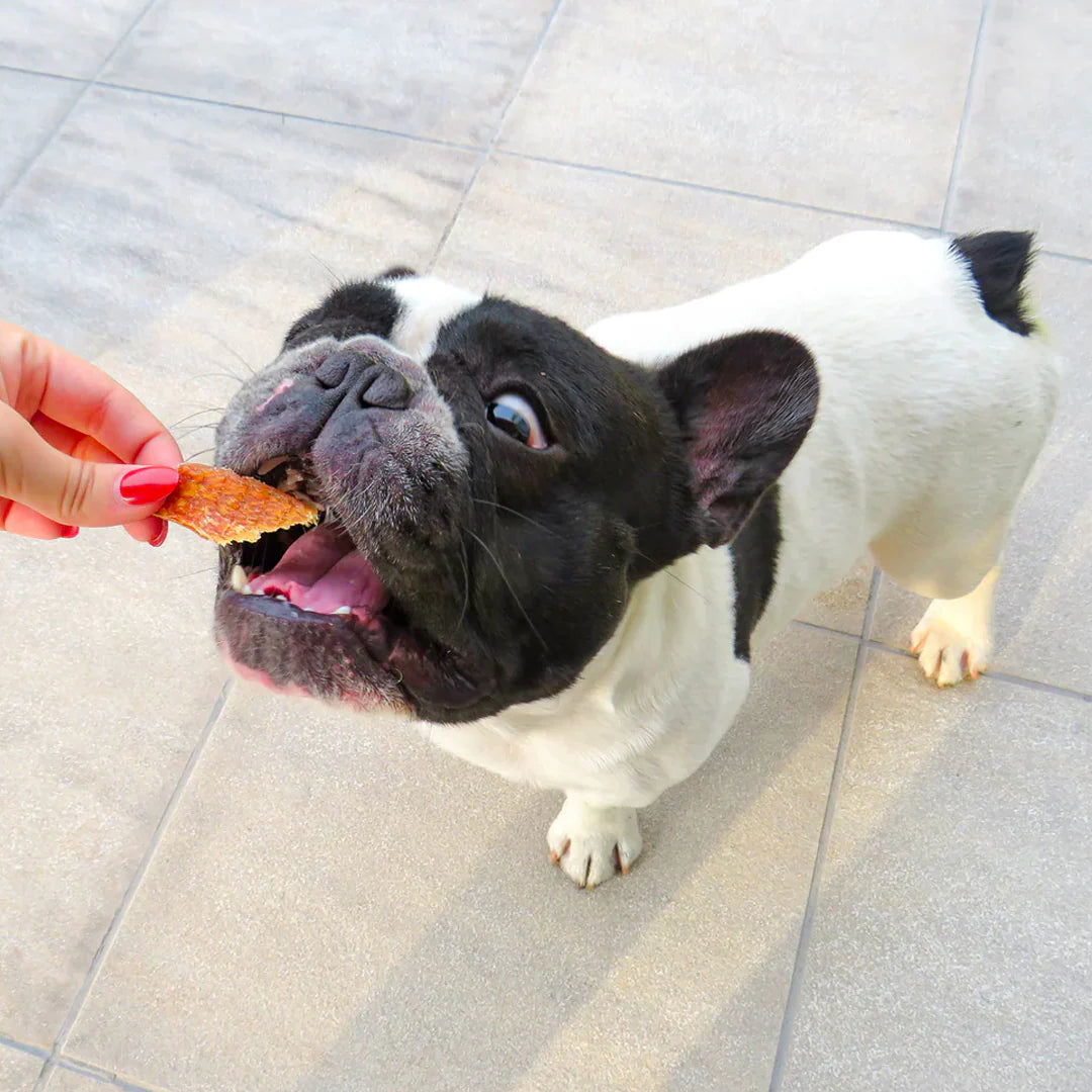 Bites Pollo